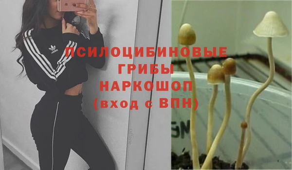 ALPHA PVP Абинск