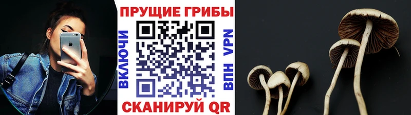 Галлюциногенные грибы прущие грибы где купить наркотик Димитровград
