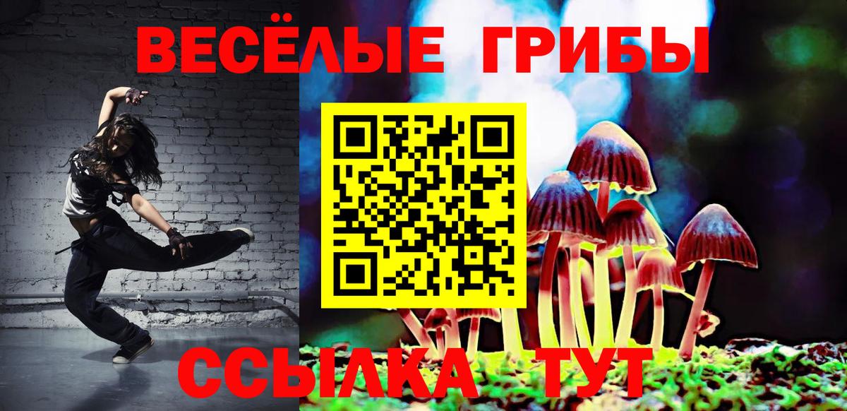 Димитровград  Галлюциногенные грибы Cubensis  Вход с VPN 